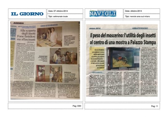 Progetto realizzato per APS Il Punto da Ermes Digital, Sudio grafico, web e seo Milano