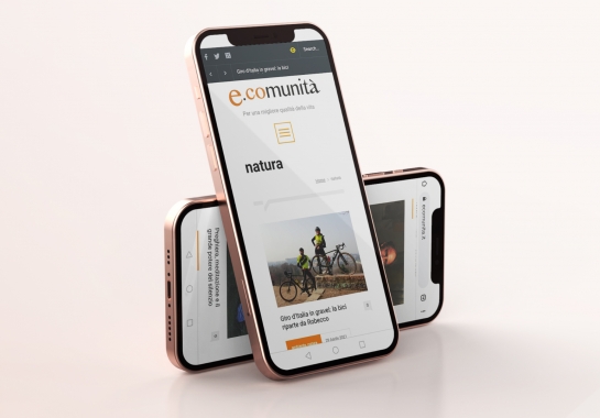 Progetto realizzato per E-Comunità da Ermes Digital, Sudio grafico, web e seo Milano