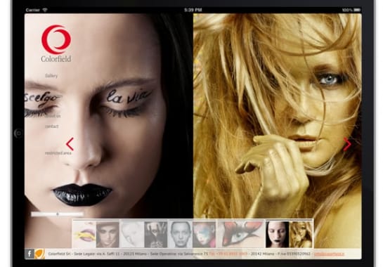Progetto realizzato per COLORFIELD da Ermes Digital, Sudio grafico, web e seo Milano
