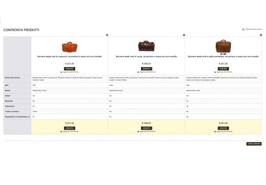 Progetto realizzato per LELYCA da Ermes Digital, Sudio grafico, web e seo Milano