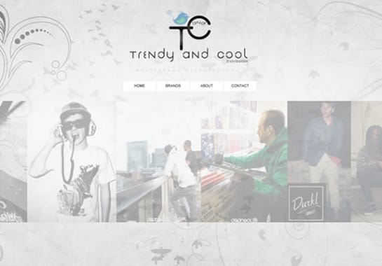 Progetto realizzato per TRENDY AND COOL da Ermes Digital, Sudio grafico, web e seo Milano