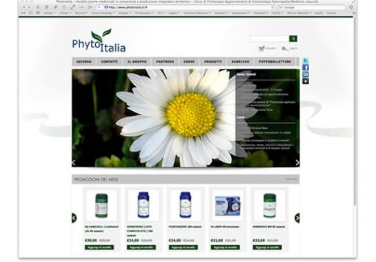 Progetto realizzato per PHYTO ITALIA da Ermes Digital, Sudio grafico, web e seo Milano
