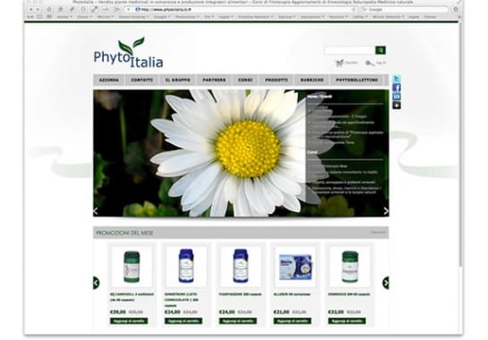 Progetto realizzato per PHYTO ITALIA da Ermes Digital, Sudio grafico, web e seo Milano