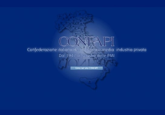 Progetto realizzato per CONFAPI ROMA da Ermes Digital, Sudio grafico, web e seo Milano