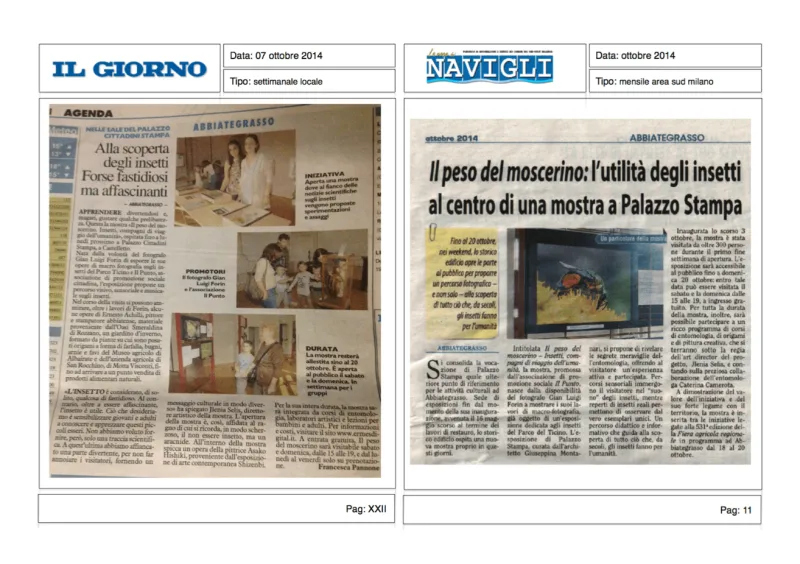 APS Il Punto — immagine 3