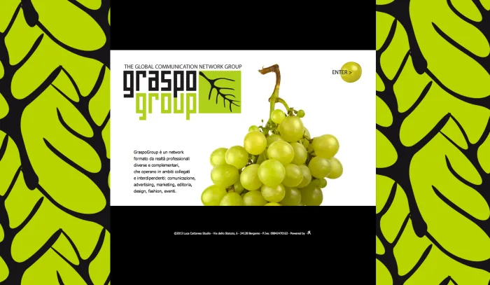 GRASPO GROUP